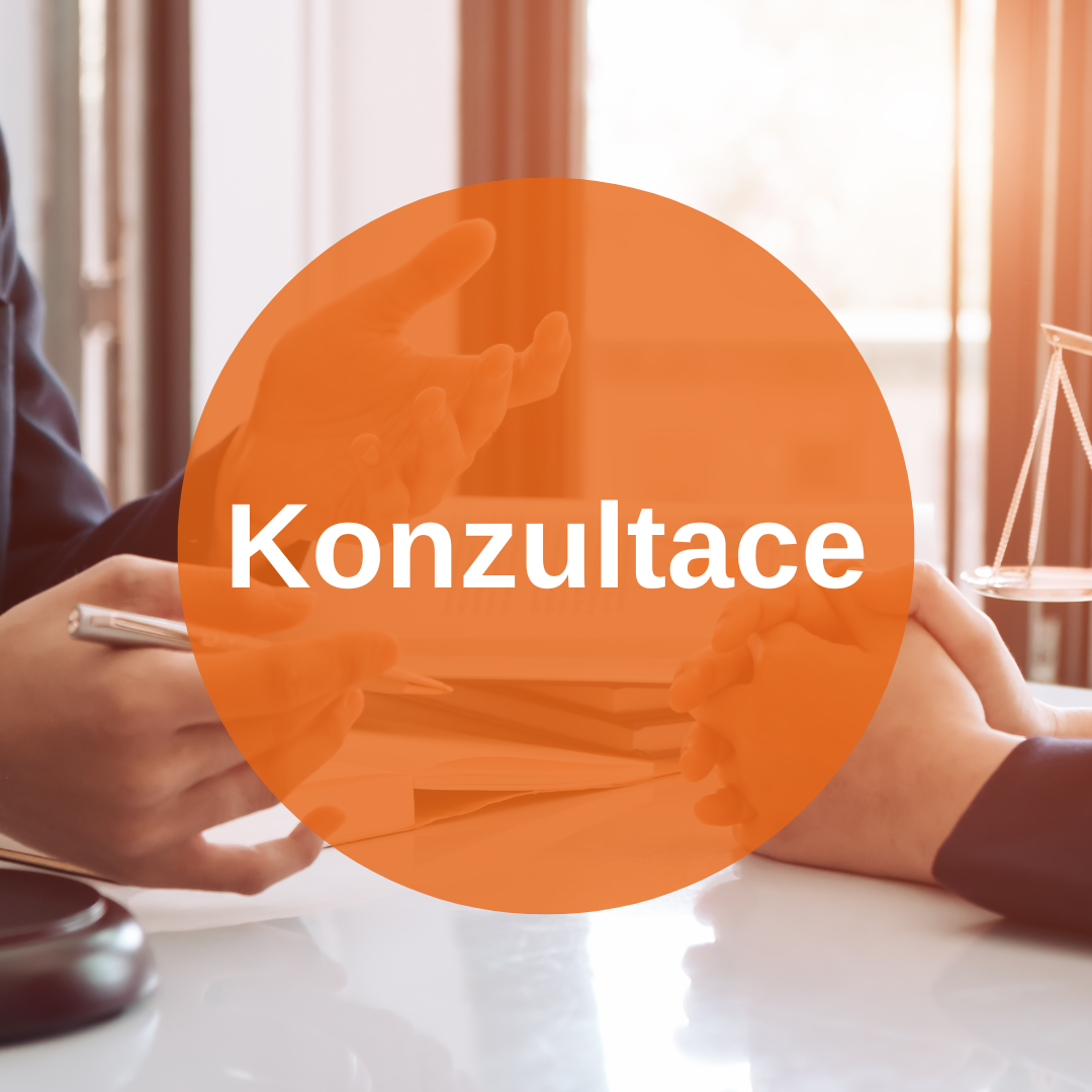 Konzultace